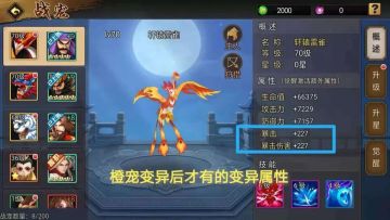 【玩家攻略】首当其“宠”，旗开得胜