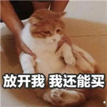 邮局大促、商城特惠丨双十一Let's购！一起来猫鼠世界嗨皮吧！