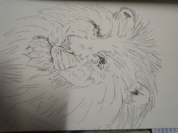 玉皇大帝の屑～～～作