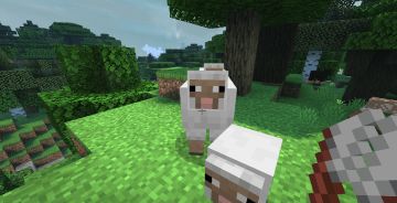 这是弓箭，但又不完全是~