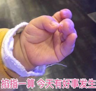 【爆料】魔幻厨房全新版本更新它来咯！