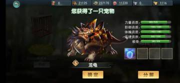 免费S宠物送龙龟，好评吧