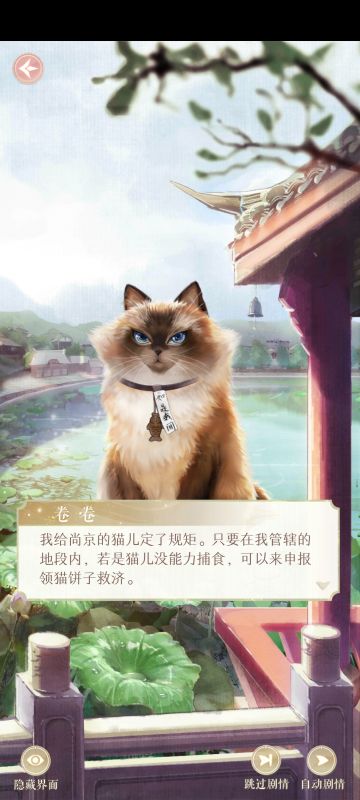 认真看完研发vlog有感