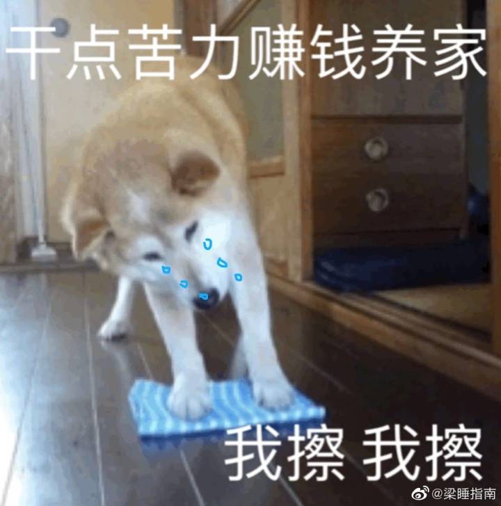 打工换花截图