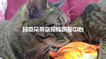 玛奇朵带你探秘研发中心vlog