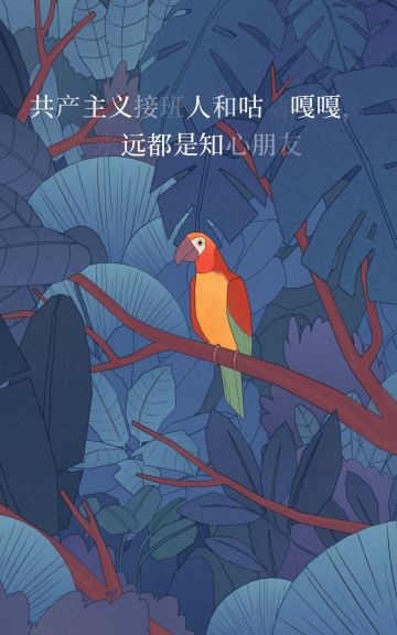 我的小鸟 希望你永远自由永远被爱 永远不会孤独