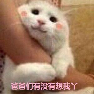 《求生必备技》“挡箭牌”掩体介绍