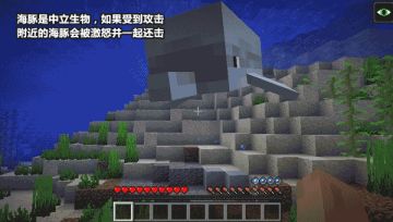 海洋萌物来袭——你算哪只小海豚！