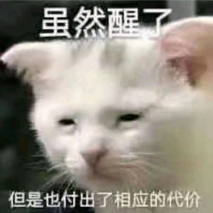 不懂就问截图