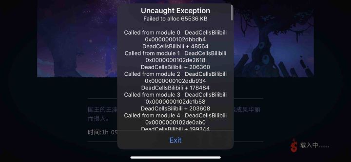 什么意思？截图