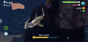 饥饿鲨进化双髻鲨母子联手淘金轻松，我一局下来收集4000金币也是历史新高啦！