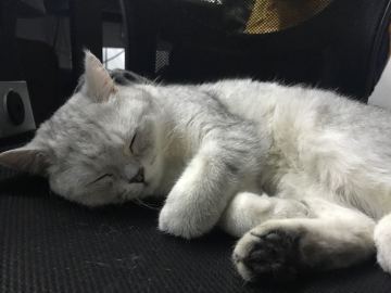 一周快要结束了，和大家随便聊一聊