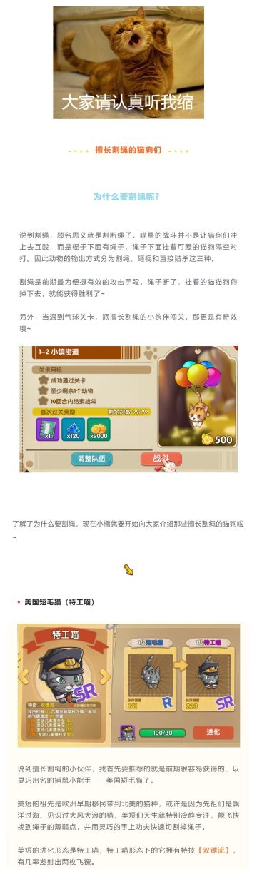 小橘课堂之——那些擅长割绳的猫狗们