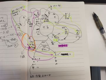 限时活动竹林南面下棋迷宫详解