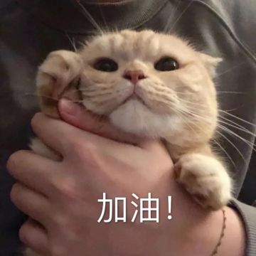 奖励加码等你来稿！最多可得1980帝国币！