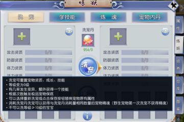 《西游之路》洗练宠物