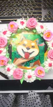 今天团队内部的小姐姐生日，给我们送了一个小小的惊喜