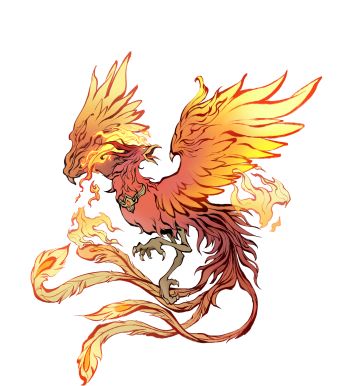 弟子档案|丹凤鸣兮，与彼高岗，梧桐生兮，于彼朝阳。——凤凰