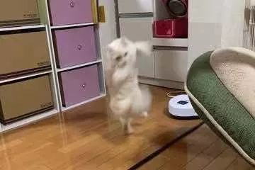video-1253907