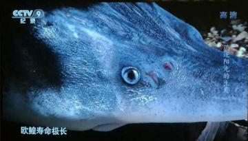 【重要更新】5月24日更新维护公告