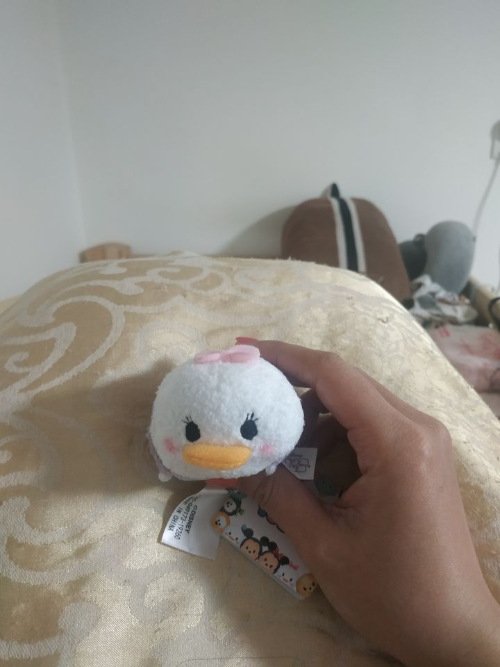 万圣节活动中的奖品收到了截图