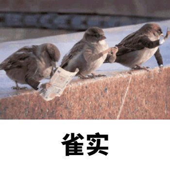 【新车预告】什么？速度节有“猛禽”天降？危险危险危险！