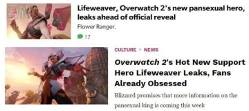 性取向是沃尔玛塑料袋，能当《守望先锋》新英雄吗？