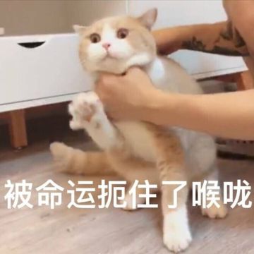 喉咙痛去看医生，医生居然说我喉咙里长了个肘子！