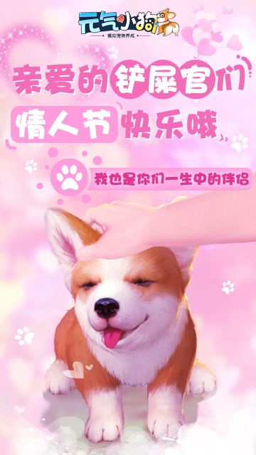 汪，它们也是重要的伴侣~