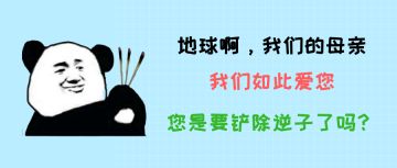 1月17日 运营日记