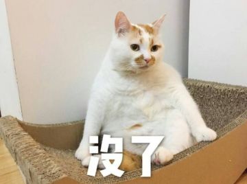 【开测时间】3月21日！