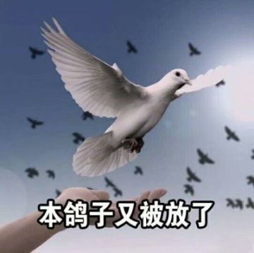 【版本更新内容及时间预告】全新版本！我们终于要来了！