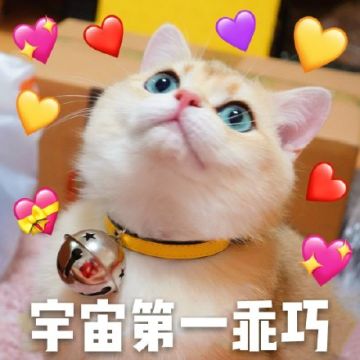 【破天攻略】破天小师妹攻略第三弹，天界-天尊！