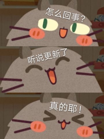 猫咪公寓更新简介