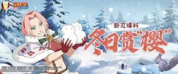 【新忍爆料】春野樱「冬日祭」“圣装”出席，只为给你送礼