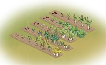 小农的不定时图透~