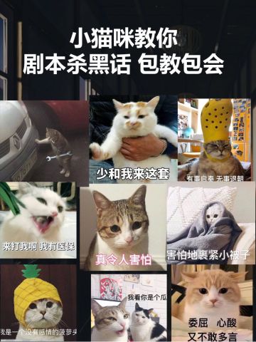 喵探课堂丨小猫咪教你剧本杀“黑话”