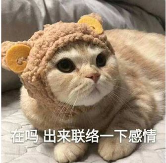 12月16日新内容持续爆料：新关卡新系统新巨像来啦！