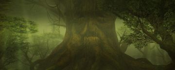 《百科全书》精灵力：肉眼无法观测的神秘力量