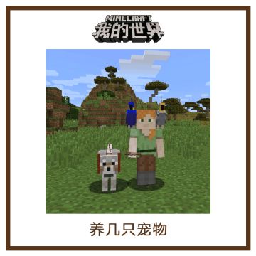 【小游戏】截图看看你在《我的世界》中国版里的新年计划是什么吧