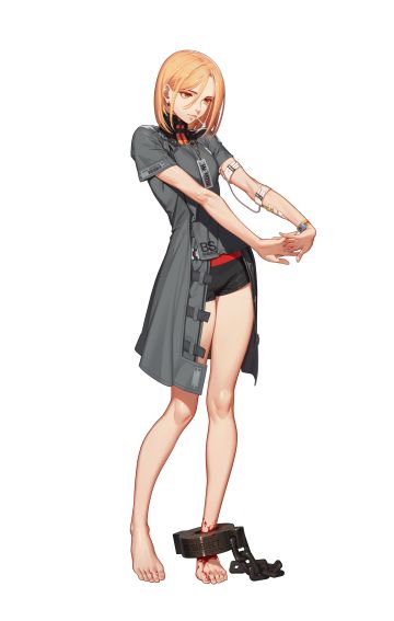 大型新手攻略贴，包含七大系，学会就能上玩具龙