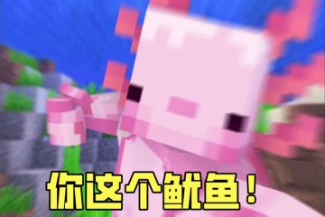 假如用方块世界的状态效果来形容夜猫子...