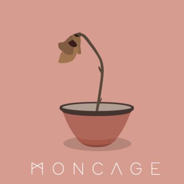 鲜花，为你盛开为你凋零