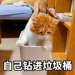 《模拟地铁》版本更新 限时折扣开启