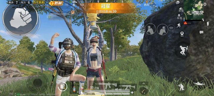 每日一🐔截图