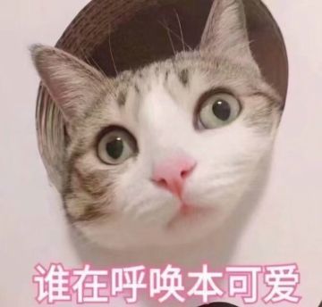 【公告】《妙奇星球》测试结束通知