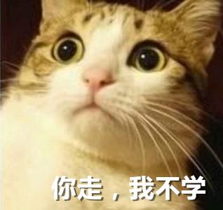 《战地指挥官》FAQ的正确打开方式（持续更新）