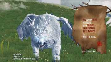 关于普通宠骑的看法