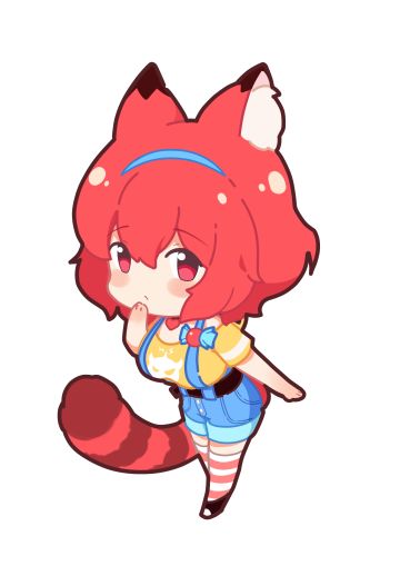 【猫百科】真桃的缅因猫小讲座~