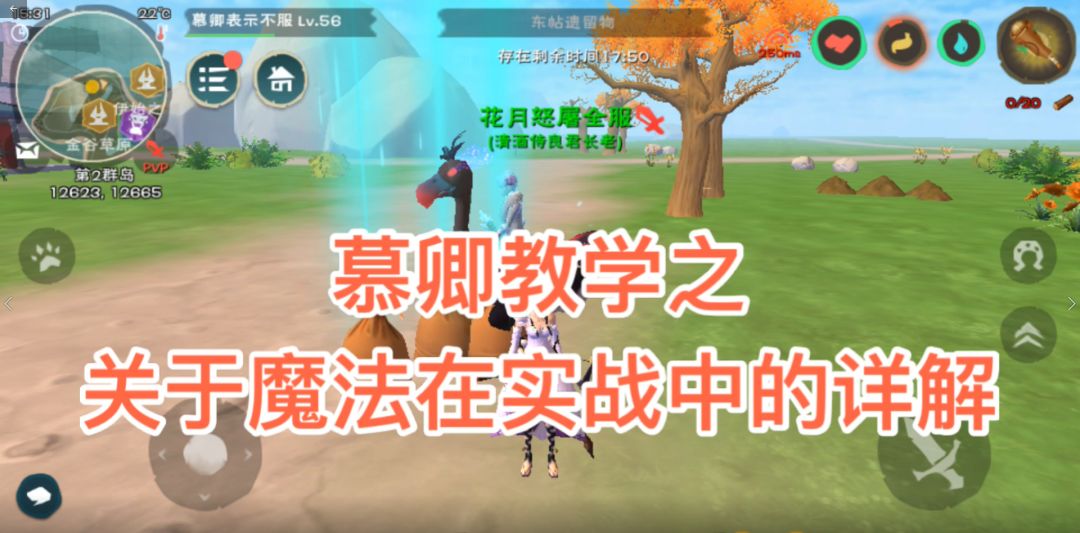 video-1446546